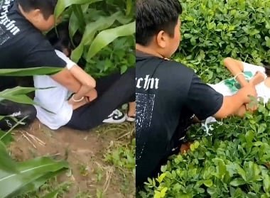 ฤดูใบไม้ผลิหลงใหล